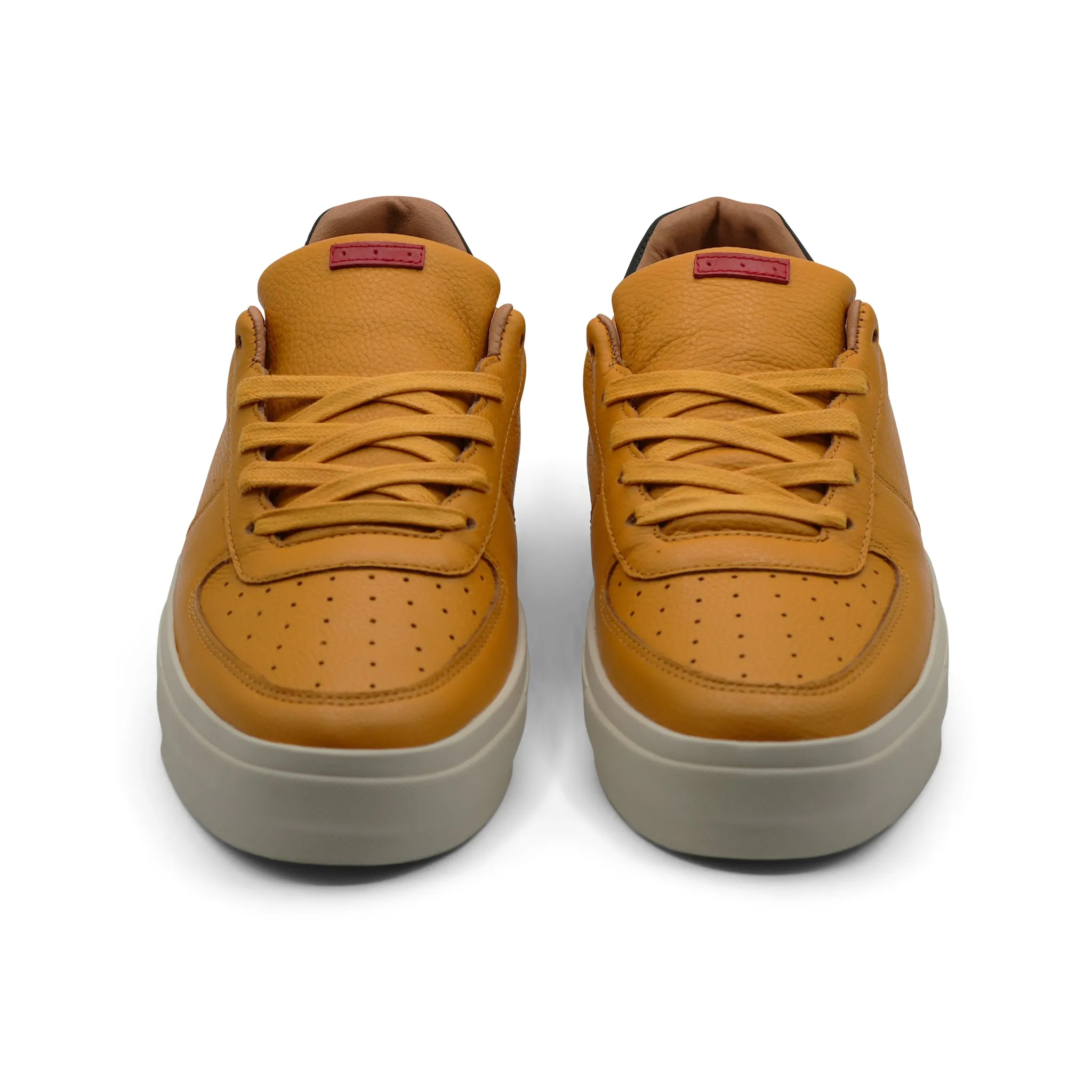 Lomax / Mustard / Sand