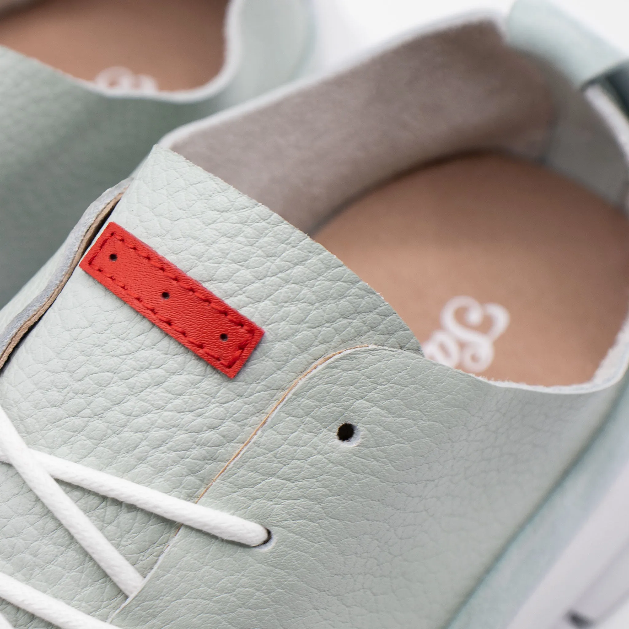 Pascal / Pale Aqua